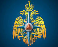 grsmimchs's profile picture. 