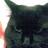 marksangster1's profile image