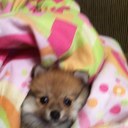 Darrell Nichols  - @darrell_nichols - Twitter