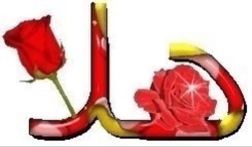 abogals1's profile picture. 