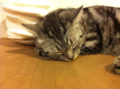 siman0928's profile picture. 