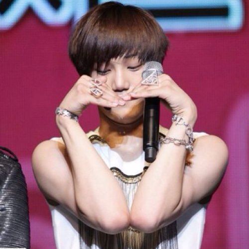 aya3872exo's profile picture. すきすきだいすきさらんへカイきゅん♡
えくそ専用アカ｡･*･:≡(　ε:)
カイくんどたそだーーーいすき‼‼
早くえくそに会いたいよ(´pωq`)
