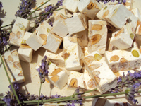 Capitale du nougat dont la réputation a largement dépassé ses frontières, Montélimar vous ouvre les Portes de la Drôme Provençale.