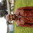 Kamashize5's profile image