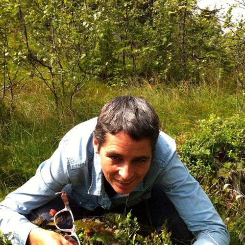 HirthKari's profile picture. 