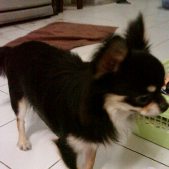 rrrr14r's profile picture. อย่าไปกลัวคำว่า ตาย