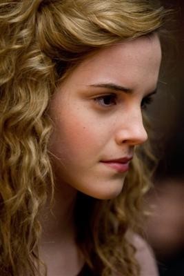 Smartest witch of them all. Mudblood. Trying to find my way in this world. {multi- rp} {Dramione}