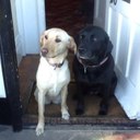 john hadfield - @jonny3012 - Twitter