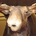 Steven Stead (@stevenstead) Twitter profile photo
