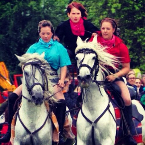 skyewardwood's profile picture. Skye, 13, janoskians are my life