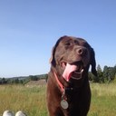 Sam Johnston - @sammjay88 - Twitter