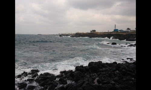 Mangchi_su's profile picture. 