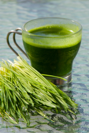 Hippocrates Health Institute is the leading natural health & educational institute in the world.