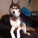 Debbie Nesbitt - @outrageousHR - Twitter