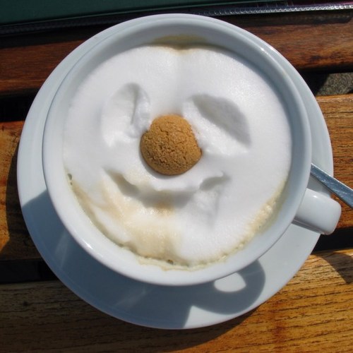 techrabbit's profile picture. 