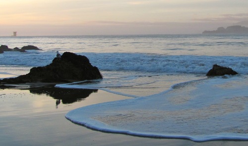 GraciesGroove's profile picture. 