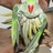 umeshangural's profile image