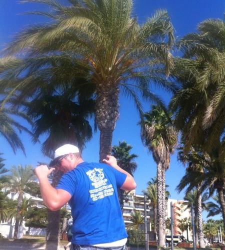 pulsion12's profile picture. 