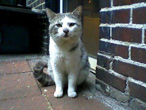 HungryBuddy's profile picture. Hi, I'm Buddy. I've got plenty of attitude, and I'm always hungry. Check out my FaceBook Page.