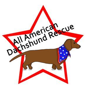 All American Dachshund Rescue is a nation-wide, non-profit volunteer group with a mission of saving dachshunds and placing them into loving forever families.