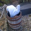 Cameron Hand - @sprouter2 - Twitter