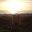 Anthony Asay - @aace24 - Twitter