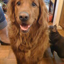 India McDaniel - @IndiaMcDaniel3 - Twitter