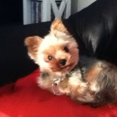 duncanhelen32's profile picture. 