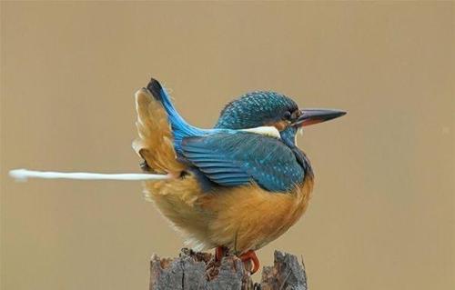 Life is my muse .. I Follow Back only so I can piss you off.. Equal Opportunity Offender .. We Tweet Not Think
