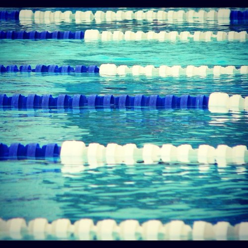 BUClubSwimming's profile picture. Official Twitter account of the Butler University Club Swim Team. Meet updates & news in and out of the lanes #SwimFast