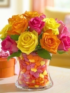 hgfavn's profile picture. 