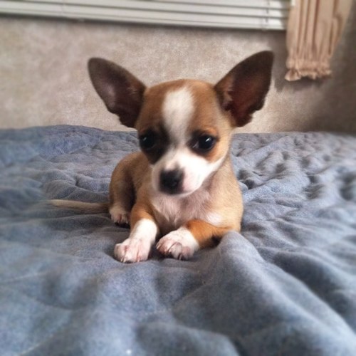 dmoney1363's profile picture. 