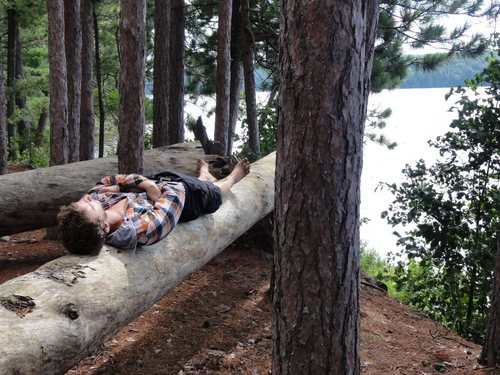 Avid dreamer and lounging enthusiast.