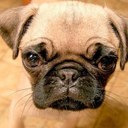 Abby Lord - @abbyessex - Twitter