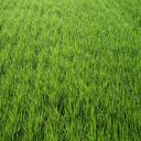 Catherine Gormley - @c_gormley20 - Twitter