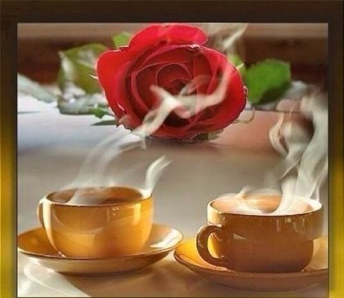 saadsauod's profile picture. رقم BB
746f337a