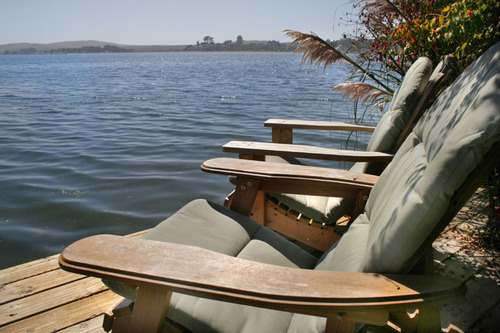 bodegabayrental's profile picture. I run a Bodega Bay Vacation Rental Property on the Water, along the Sonoma Coast in Northern California.