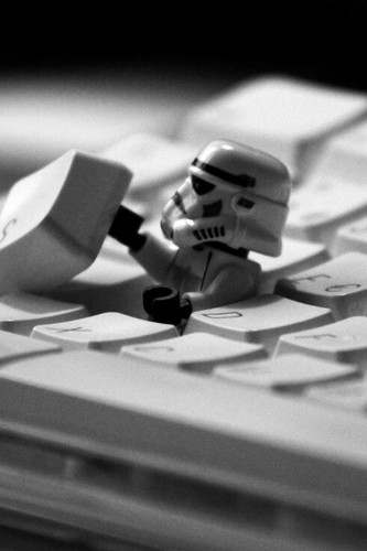 MikeCislo's profile picture. 