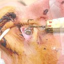 John Cain - @jcain35102 - Twitter