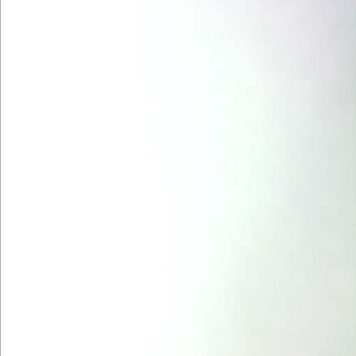 BrookeNiblock12's profile picture. 