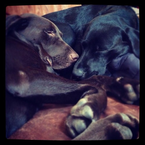 mvkramer's profile picture. 