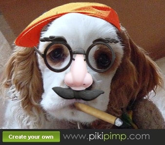 BofeloSprngfeld's profile picture. 