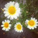 Emily Rinker - @emjoyaldrich - Twitter