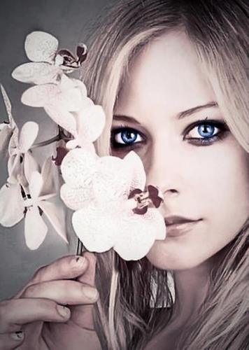 mais um twitter dedicado a nossa diva @AvrilLavigne desde de 23/06/2011