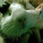 lyonelgordon's profile image