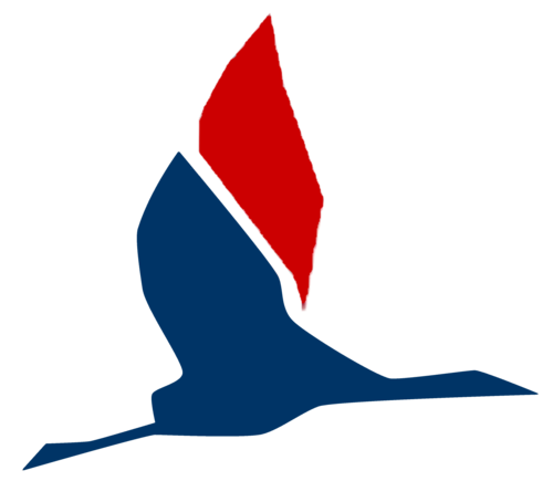 Pacific_Flight's profile picture. Aviation. Learn to fly. Flight school at Bankstown, Australia , beginner to airline, Flight Instructor training, International students.