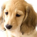 Robert Nault - @robert309ski1 - Twitter