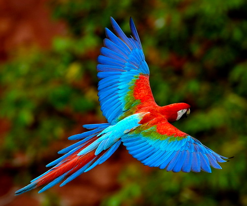 sevenbirds11's profile picture. 