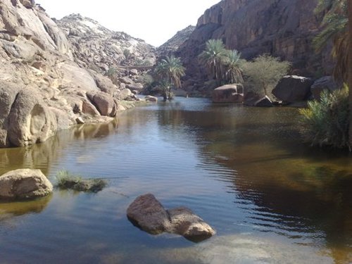 هذا الحساب مختص في شؤون أهالي قرية الصداعية خاصة ومن يهتم لهم عامة من مناسبات.أفراح..... والله من وراء القصد