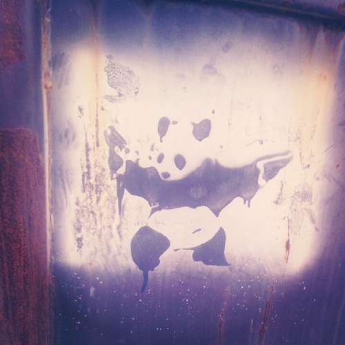 QuotebookWC's profile picture. wanna be heard? tweet me and you'll end up in the newspaper or yearbook.